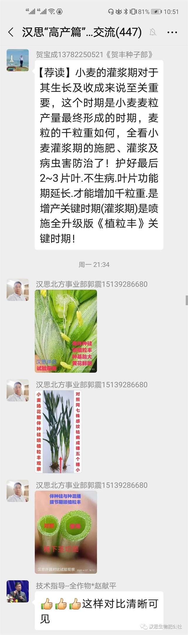 小麥灌漿期 《植粒豐》助力“頂滿倉(cāng)”