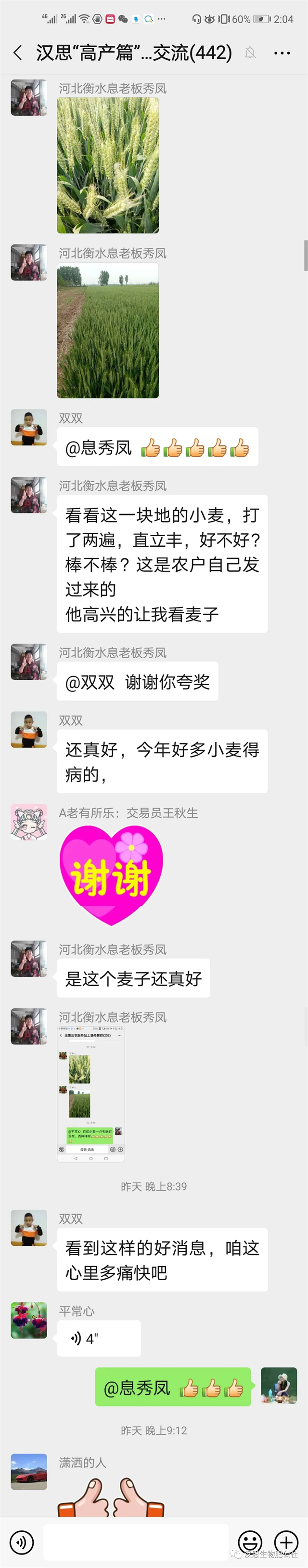 小麥“三病一害”要防？用它全部解決！